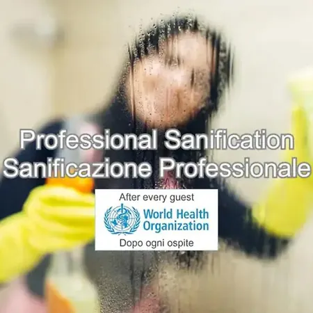 Tram For 4 Guests Trieste